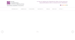 Desktop Screenshot of fente-palatine.com